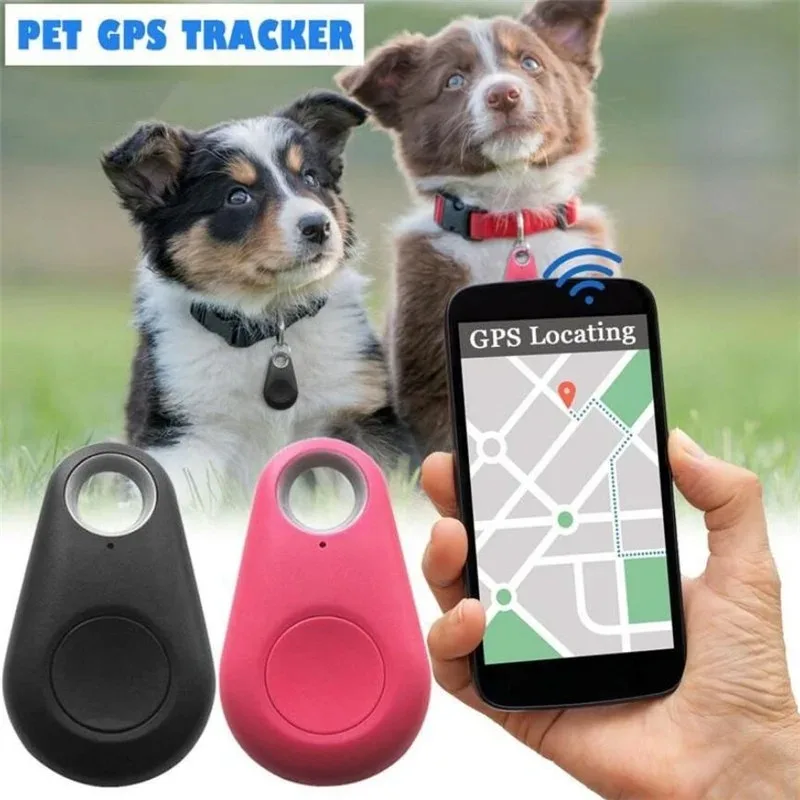 Mini Fashion Smart Dog Pets Bl - Compass Keychain Mini incelemesi ve fiyatı