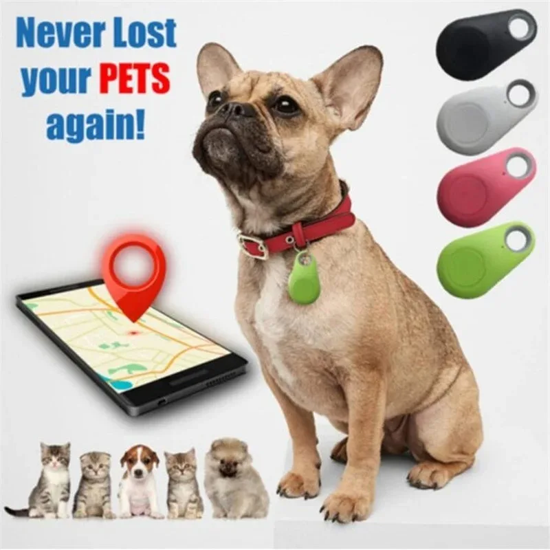 Mini Fashion Smart Dog Pets Bl - Compass Keychain Mini incelemesi ve fiyatı