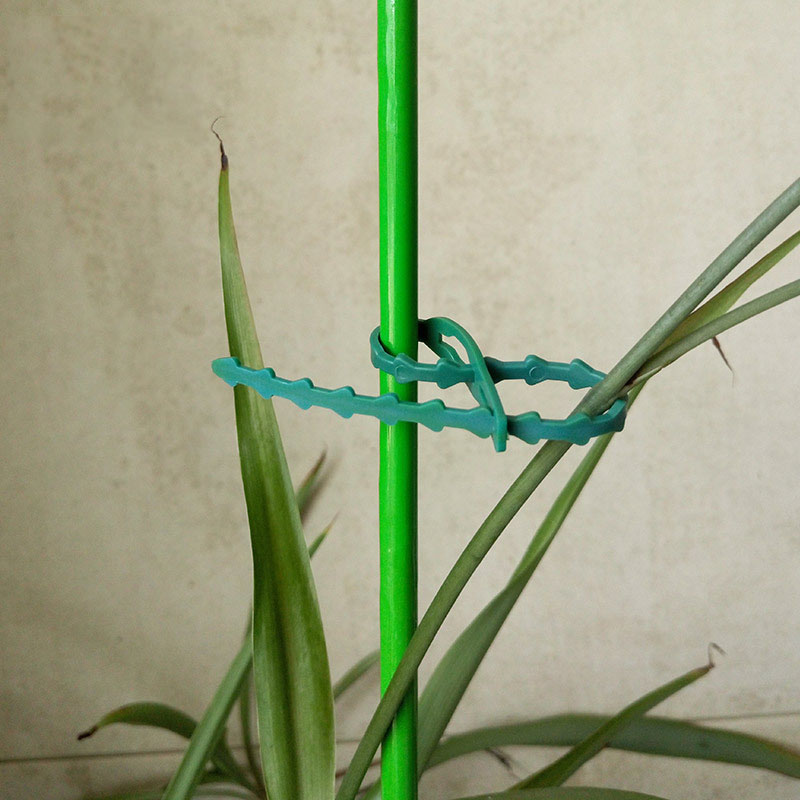 50/100Pcs Reusable Garden Cabl - Gear Tie Reusable incelemesi ve fiyatı