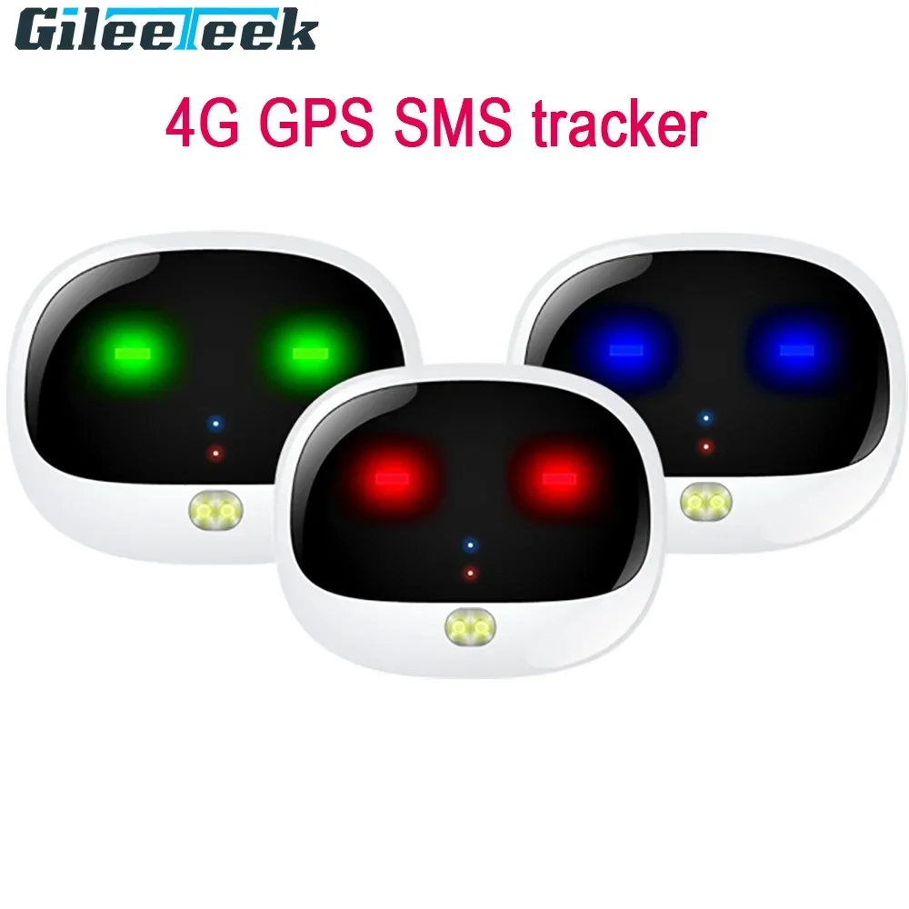 RF-V43 Mini 4G GPS Pets Tracke - Compass Keychain Mini incelemesi ve fiyatı