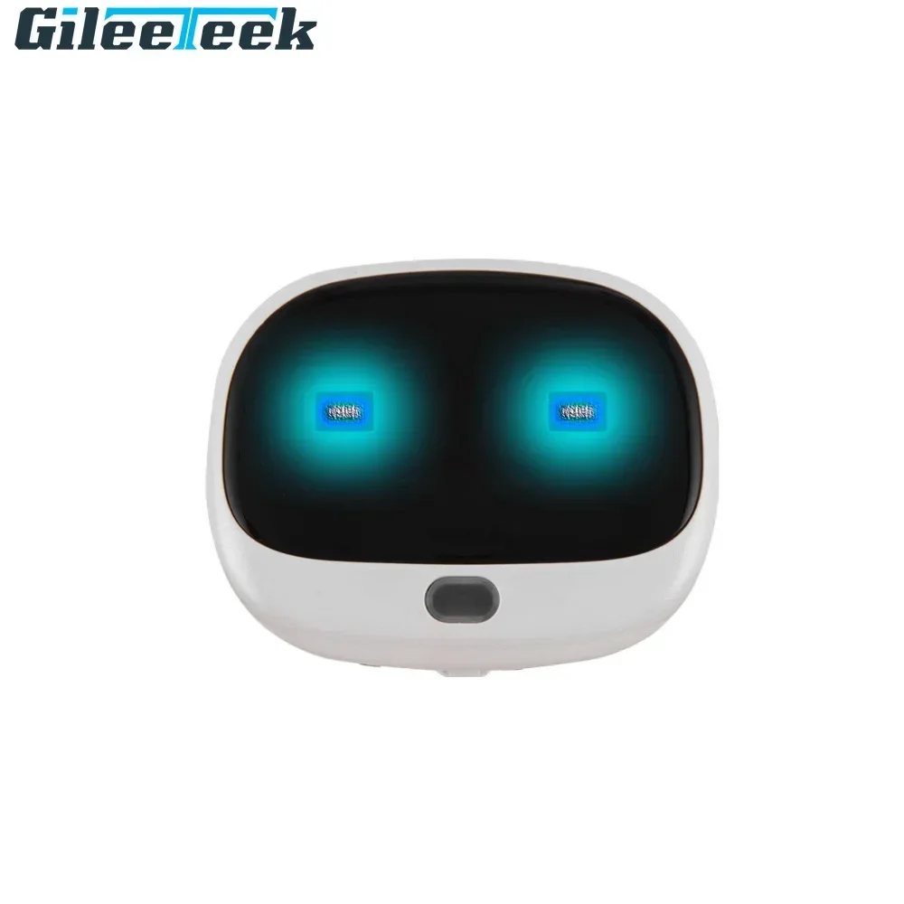 RF-V43 Mini 4G GPS Pets Tracke - Compass Keychain Mini incelemesi ve fiyatı
