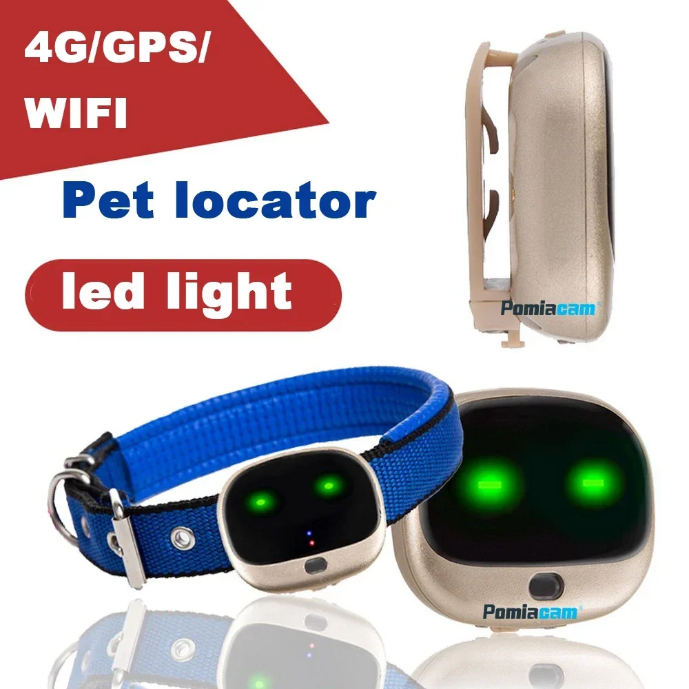 RF-V43 Mini 4G GPS Pets Tracke - Compass Keychain Mini incelemesi ve fiyatı